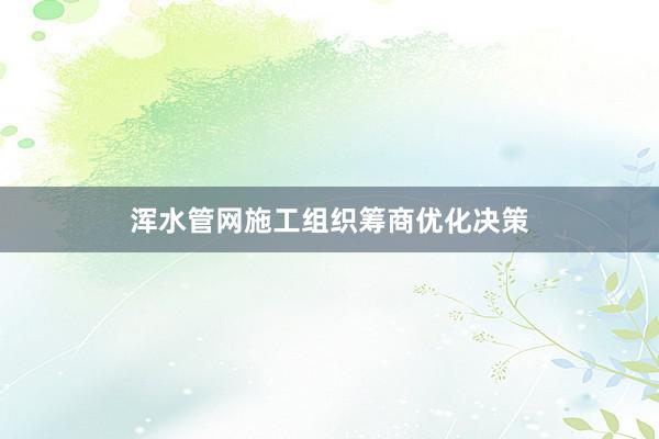 浑水管网施工组织筹商优化决策