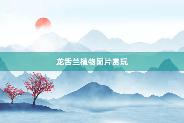 龙舌兰植物图片赏玩