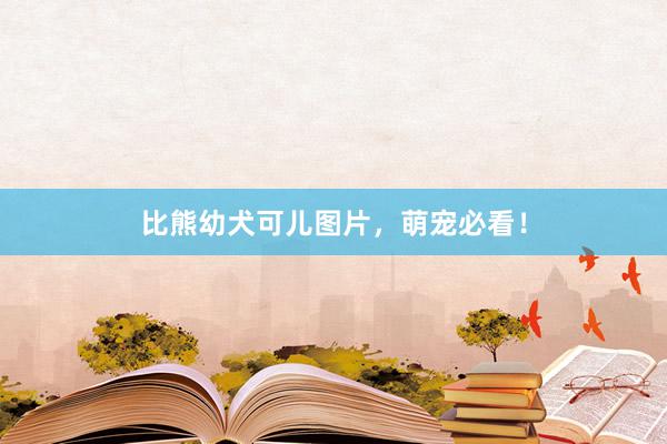比熊幼犬可儿图片，萌宠必看！
