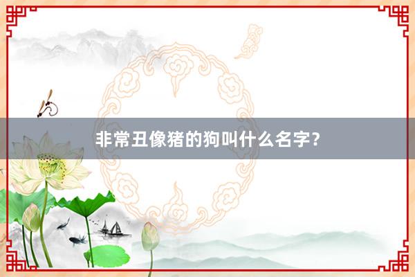 非常丑像猪的狗叫什么名字？