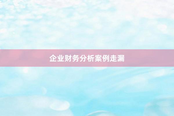 企业财务分析案例走漏